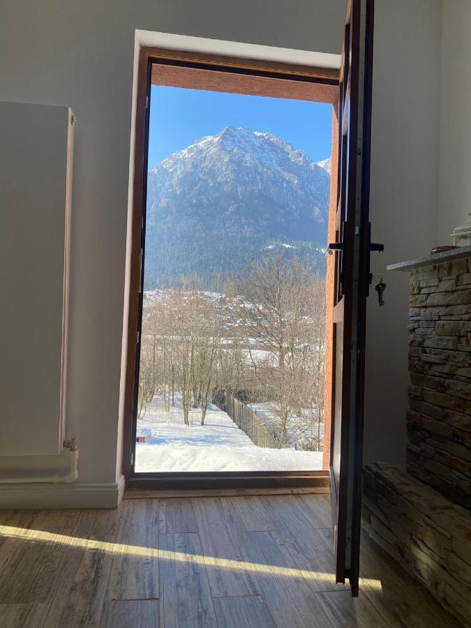 B House Buşteni Eksteriør billede
